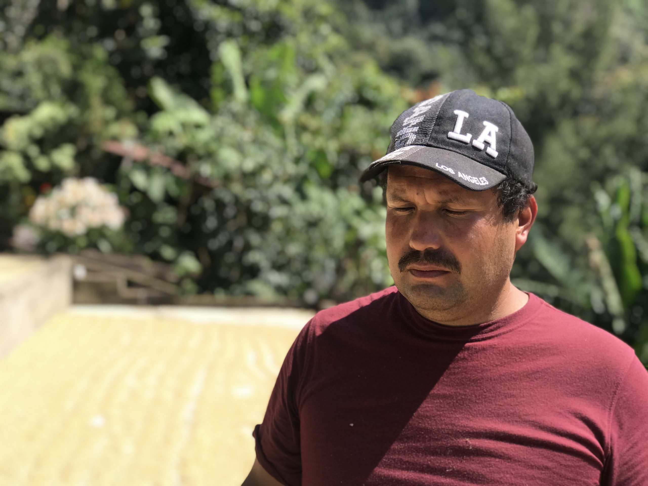 Besøg hos Finca Pena Roja, Guatemala 2019